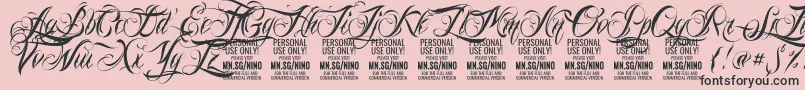 NinoscriptPersonalUseOnly Font – Black Fonts on Pink Background