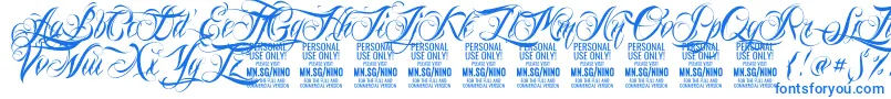 NinoscriptPersonalUseOnly Font – Blue Fonts on White Background