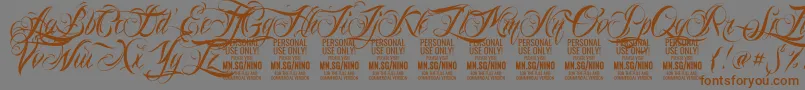 NinoscriptPersonalUseOnly Font – Brown Fonts on Gray Background