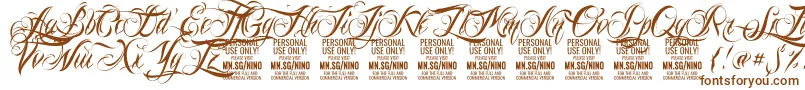 NinoscriptPersonalUseOnly Font – Brown Fonts