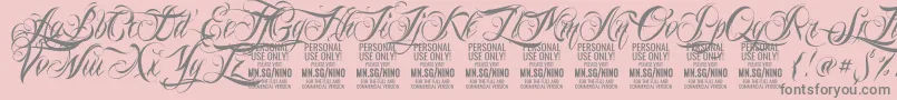 NinoscriptPersonalUseOnly Font – Gray Fonts on Pink Background