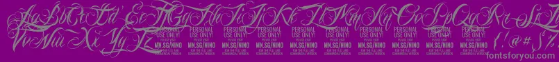 NinoscriptPersonalUseOnly Font – Gray Fonts on Purple Background
