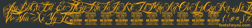 NinoscriptPersonalUseOnly Font – Orange Fonts on Black Background