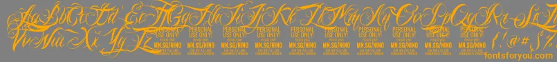 NinoscriptPersonalUseOnly Font – Orange Fonts on Gray Background