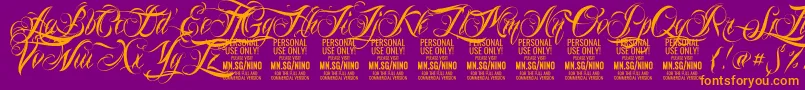 NinoscriptPersonalUseOnly Font – Orange Fonts on Purple Background