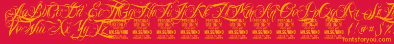NinoscriptPersonalUseOnly Font – Orange Fonts on Red Background