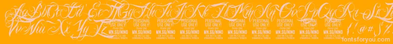 NinoscriptPersonalUseOnly Font – Pink Fonts on Orange Background