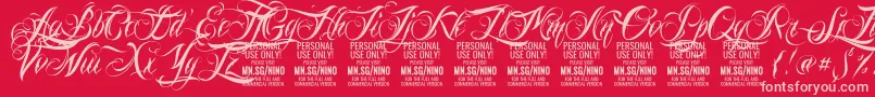 NinoscriptPersonalUseOnly Font – Pink Fonts on Red Background