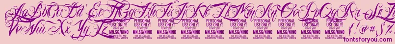 NinoscriptPersonalUseOnly Font – Purple Fonts on Pink Background