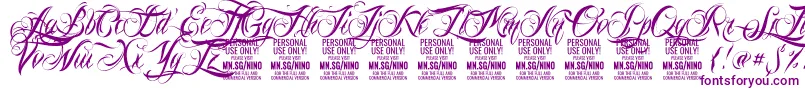 NinoscriptPersonalUseOnly Font – Purple Fonts on White Background