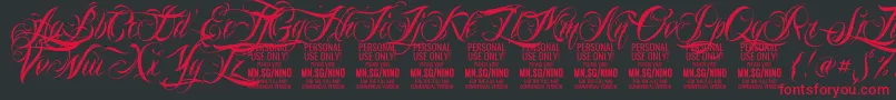 Шрифт NinoscriptPersonalUseOnly – красные шрифты на чёрном фоне