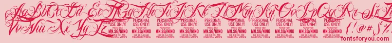 NinoscriptPersonalUseOnly Font – Red Fonts on Pink Background