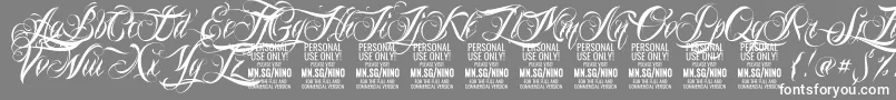 NinoscriptPersonalUseOnly Font – White Fonts on Gray Background