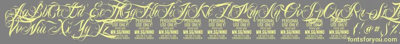 NinoscriptPersonalUseOnly Font – Yellow Fonts on Gray Background