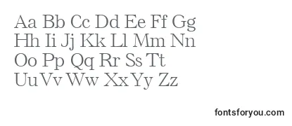 ElseLtLight Font