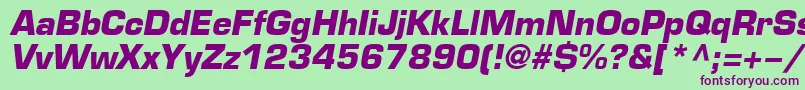 EuroBi Font – Purple Fonts on Green Background
