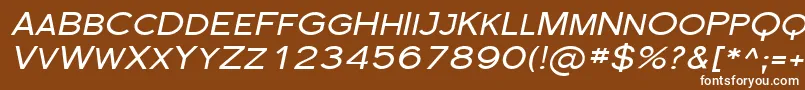 フォントSfflorencesansscexpItalic – 茶色の背景に白い文字