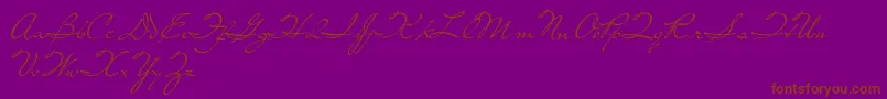 LivingTogether Font – Brown Fonts on Purple Background