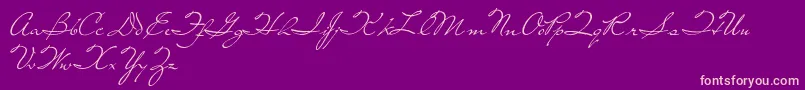 LivingTogether Font – Pink Fonts on Purple Background