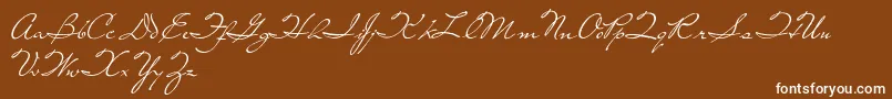 LivingTogether-Schriftart – Weiße Schriften auf braunem Hintergrund