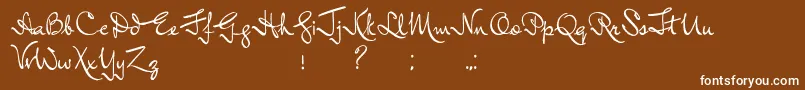 Шрифт InductiveResonance – белые шрифты на коричневом фоне