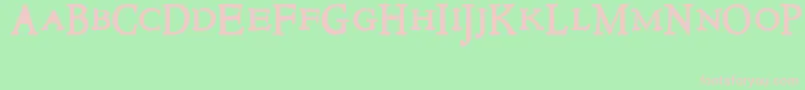 NewstyletitlingBold Font – Pink Fonts on Green Background