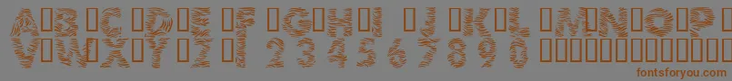 Шрифт 101ZebraPrint – коричневые шрифты на сером фоне