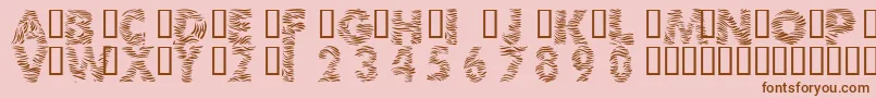 101ZebraPrint Font – Brown Fonts on Pink Background