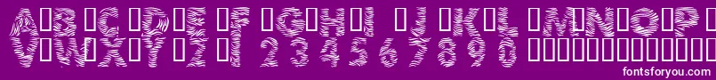 Шрифт 101ZebraPrint – белые шрифты на фиолетовом фоне