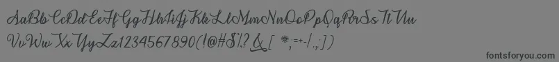 SnowflakeCalligraphyTtf Font – Black Fonts on Gray Background