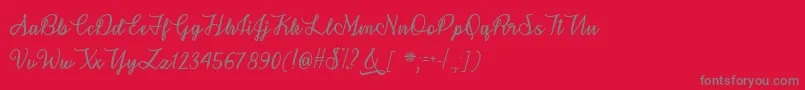フォントSnowflakeCalligraphyTtf – 赤い背景に灰色の文字