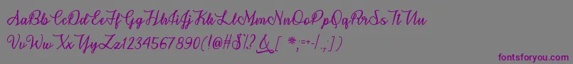 SnowflakeCalligraphyTtf-fontti – violetit fontit harmaalla taustalla