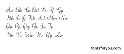 Review of the SnowflakeCalligraphyTtf Font