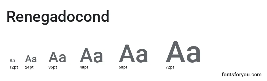 Renegadocond Font Sizes