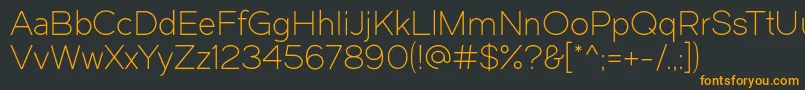 フォントDual300 – 黒い背景にオレンジの文字