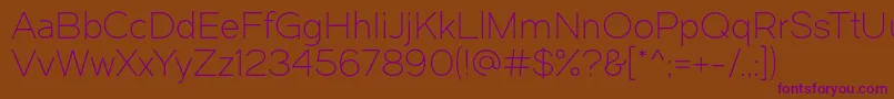 Dual300 Font – Purple Fonts on Brown Background