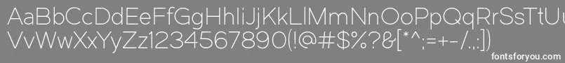 Dual300 Font – White Fonts on Gray Background