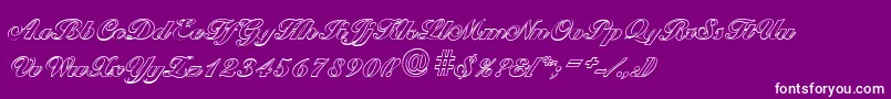 BallantinesoutlineBlackRegular Font – White Fonts on Purple Background