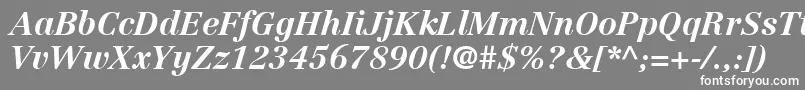 LinotypeCentennialLt76BoldItalic-Schriftart – Weiße Schriften auf grauem Hintergrund