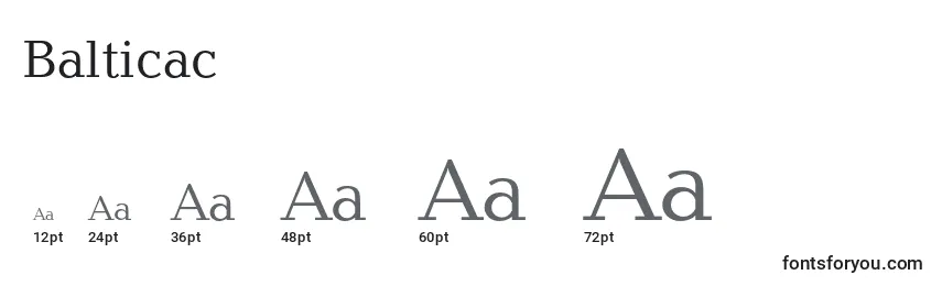 Размеры шрифта Balticac
