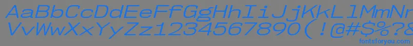 フォントNk57MonospaceExBkIt – 灰色の背景に青い文字