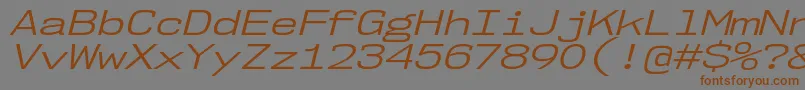 Nk57MonospaceExBkIt Font – Brown Fonts on Gray Background