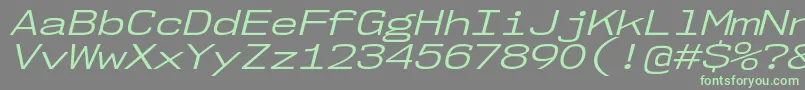 フォントNk57MonospaceExBkIt – 灰色の背景に緑のフォント