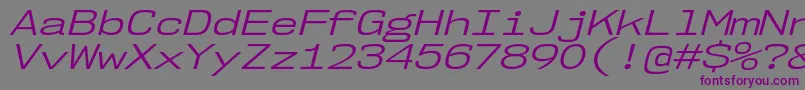 フォントNk57MonospaceExBkIt – 紫色のフォント、灰色の背景