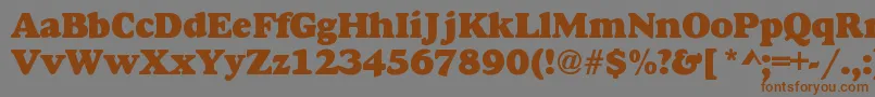 フォントDoverHeavy – 茶色の文字が灰色の背景にあります。