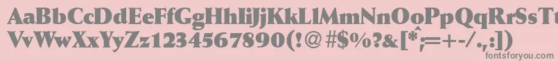 WeinantikblkdbBold Font – Gray Fonts on Pink Background