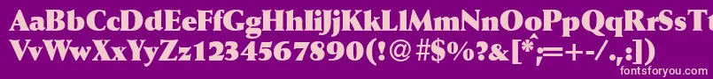 WeinantikblkdbBold Font – Pink Fonts on Purple Background