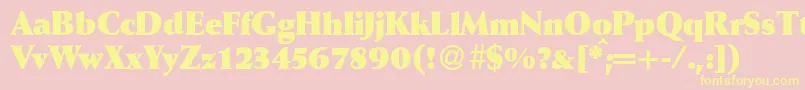 WeinantikblkdbBold Font – Yellow Fonts on Pink Background