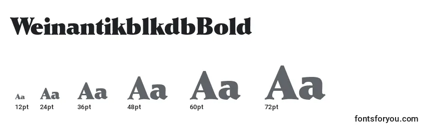 WeinantikblkdbBold Font Sizes