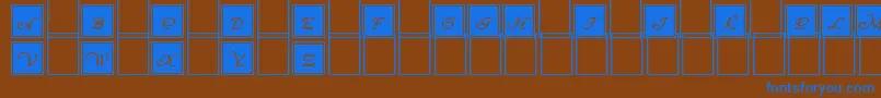 Police WrennInitialsBlocked – polices bleues sur fond brun